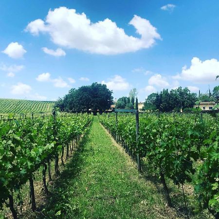 Borgo Del Gelso Panzió Olgiata Kültér fotó